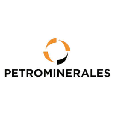 petrominerales